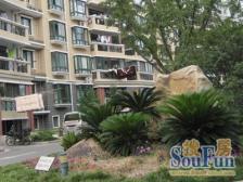 精装修自住,房子保养好,动静分离,南北双阳台,诚售