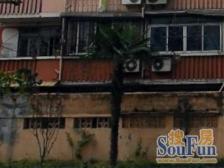 8/13号线 成山路 边套一室南北通 业主诚售 低总价入手佳