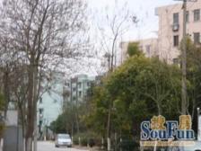 后滩精装修+30平大阁楼,楼上1房2厅1卫。8号/13号线,