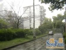 江湾·枫叶公寓·4室·0厅