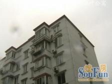 《3号线地铁口》《飞机户型》《精装》《好楼层》