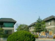 10分钟到虹桥机场 税费各付,花园100平,双车库可停6辆车