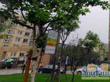 爵仕悦精装三房 电梯中高层 飞机户型 带车位