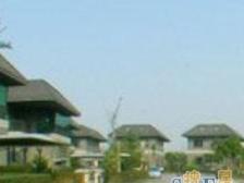 七宝大花园河景大宅,可停6辆车,户型方正,纯毛坯