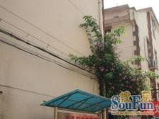 老静安 7号线地铁口 南北通2房 业主诚意出售看房方便