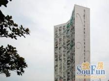 虹东小区2室东朝向480.00万元/套出售