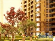 品质小区,环境优美,诚意出售,精装好房