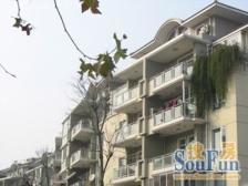 品质物业 叠加别墅 南北花园 采光好 必看好房