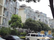 豪华装修 品质别墅区 送大花园 拎包入住