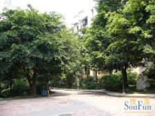 大社区,小区环境好,近轻轨顶跃,配套设施齐全