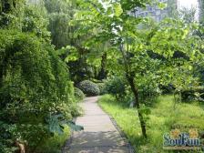 住家三房 安心出售 朝中庭 安静舒适