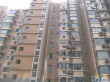 小高层一梯两户 飞机户型 南北通透 配套齐全 交通便利