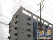 鼎盛公寓 3室1厅 南 北