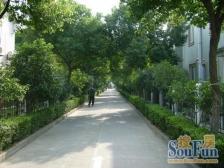 皇府别墅5室南朝向1690.00万元/套出售