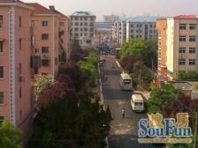 南北通,一梯两户,花园位置,业主诚售,双轨交会,