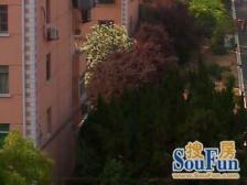 双南一房,中间楼层,有钥匙。得房率高