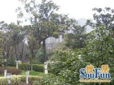 南北通,一梯两户,花园位置,业主诚售,双轨交会,