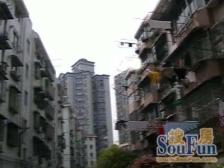 甘泉宜川·交通路2395弄·2室·1厅