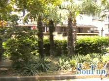 金原新苑2室南朝向630.00万元/套出售