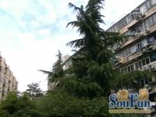 业主出售变现,低楼层南北通风户型