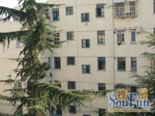 太阳的光芒晒到爆)配套成熟,拥有家的味道,位置好