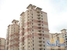 胶州大楼 2室1厅 东南