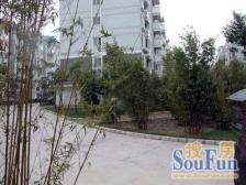 大虹桥徐泾 临河连排别墅 精装交付 诚意出售