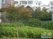 金水湾(别墅)4室3厅南北