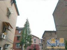 朝南一门关,步梯三楼,出行方便,购物方便