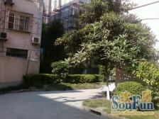 98年房龄,洋J菊园+交D小,精装一房一厅,看房方便