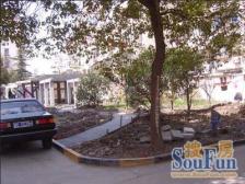 此房阳光刺眼 南北三房全明 带25平大天井 有车位