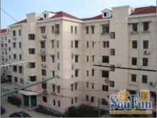 北蔡·培花七村·1室·1厅