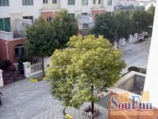 边套全明,经典一复二,精装修,保养好,位置安静,诚意出售