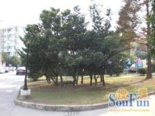 带产权车位 通风好 拎包入住 产权清晰 必看好房