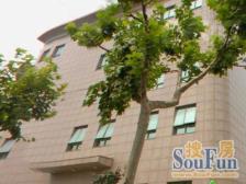 斜土路大木桥·泰莱大厦·1室·1厅