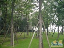 环线旁 精装两房 户型方正 业主诚售