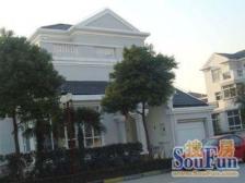 国展旁 独栋大花园别墅 小区中芯位置 户型方正 采光佳