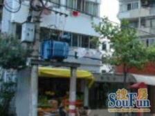 咫尺南京路,3轨交汇处,新装修,带露台采光好视野棒