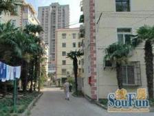 精装修 小区安静位置 高区采光好视野开阔