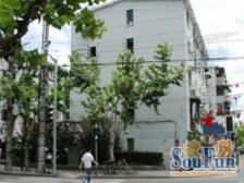 崂山六村2室1厅南