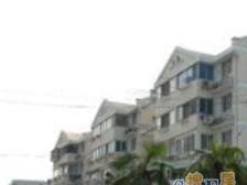 刚需必看 全明边套户型好 采光刺眼 近地铁