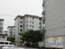 中环内·莲溪一村商品房,富海公寓 ·3室·2厅近轨交