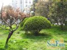 日式装修飞机户型大三房!!!可以在家做汗蒸!!!!