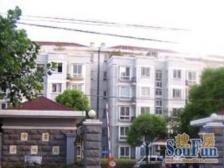 06年小区,电梯高区直观东方明珠三件套,全天视野无遮挡