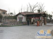 独栋别墅,三面花园,地下室藏,定义品质生活