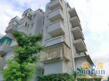 新丰家园 2室1厅 南 北