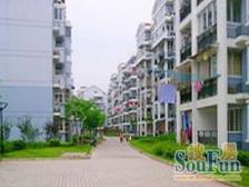 新丰家园 2室1厅 南 北