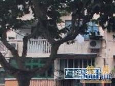 (买使+用+权的看过来)闸北公园(带租约出售)