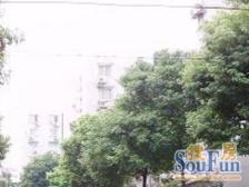 中山公园商圈 边套全明正规一房一厅 采光视野无遮挡