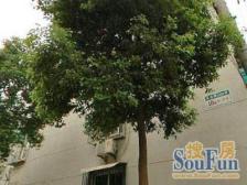 定西路1235弄 2室1厅 南 北